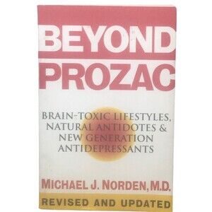 Beyond Prozac : Antidotes for Modern Times by Michael J. Norden (1996, Trade...
